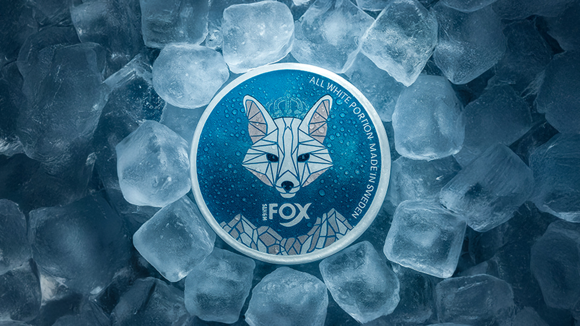 Siberia Club project showcase